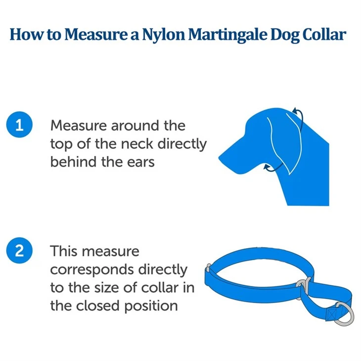 Personailzed Dog Collar